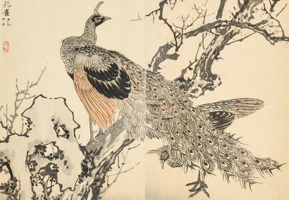 Kono BAIREI (1844-1895)
Cinq estampes figurant...