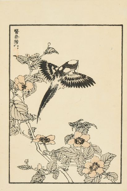 Kono BAIREI (1844-1895)
Cinq estampes figurant...
