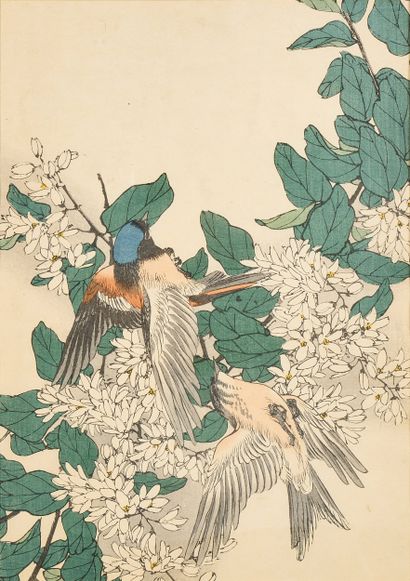 Deux estampes japonaises figurant des oiseaux.
Travail...