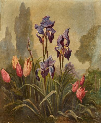 Ecole fin XIX- début Xxe
Iris et tulipes...