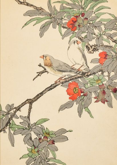 Deux estampes japonaises figurant des oiseaux.
Travail...