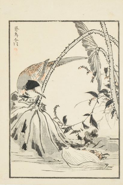Kono BAIREI (1844-1895)
Cinq estampes figurant...