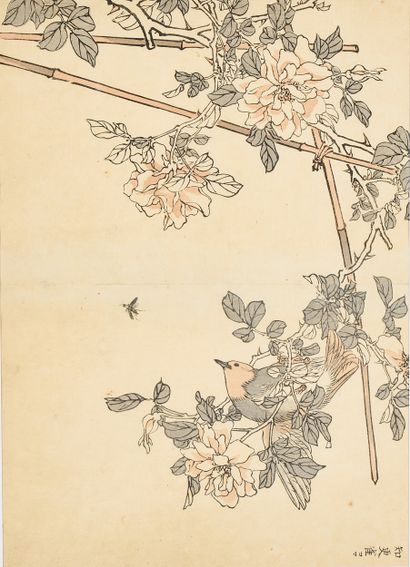 Kono BAIREI (1844-1895)
Cinq estampes figurant...