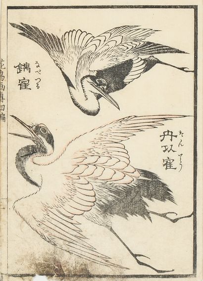 Kono BAIREI (1844-1895)
Cinq estampes figurant...