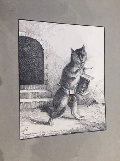 [Dessins]. 2 albums de dessins disparates...