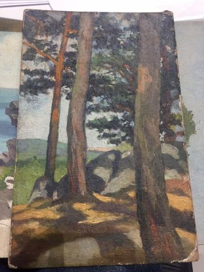 Adrien-Henri GILLOT (1883-1948).
Paysages...