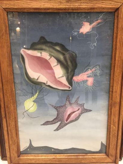 Félix LABISSE (1905-1982)
Coquillage.
Gouache...