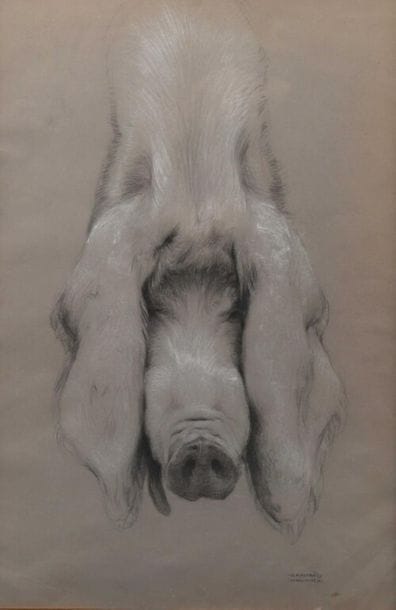 Raphael KIRCHNER (1876-1917).
Portrait d'une...