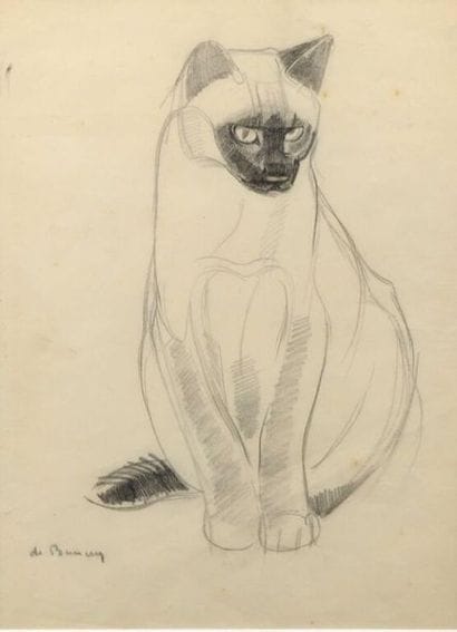 Philippe Albin de BUNCEY (1905-1978).
Chat...