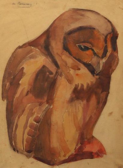 Philippe Albin de BUNCEY (1905-1978).
Chouette.
Aquarelle...