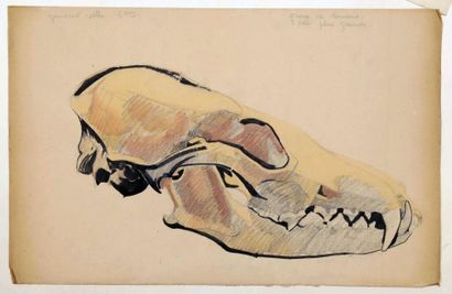 Philippe Albin de BUNCEY (1905-1978) 
ENSEMBLE...