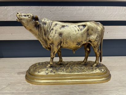 D'après Rosa BONHEUR (1822-1899). 

Taureau....