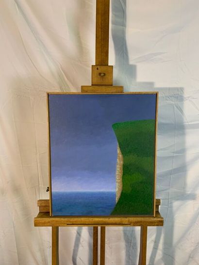 Soline CANOVAS

Falaise verdoyante.

Huile...
