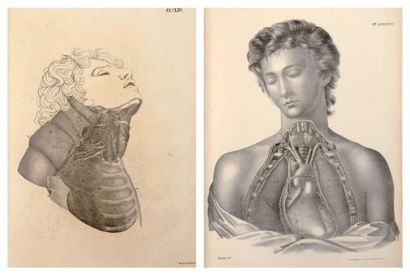 CLOQUET (JULES)
Anatomie de l'homme, ou Description...
