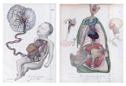 COMTE (J. ACHILLE)
Physiologie pour les collèges...