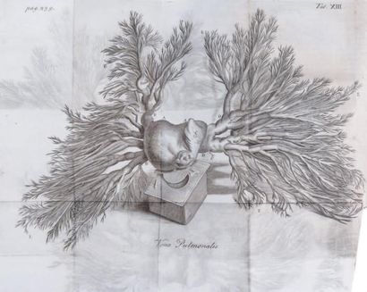 DRAKE (JAMES)
New system of Anatomy. Describing...