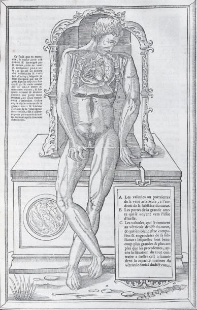ESTIENNE (CHARLES)
La dissection des parties...