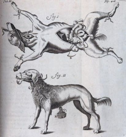 GRAAF (REGNIER DE)
Opera omnia. 1 fort vol....