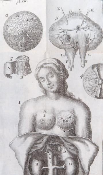 NOGUEZ
L'anatomie du corps de l'homme en...
