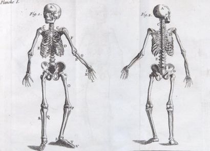 ANONYME [PERSON (CLAUDE)]
Nouveaux élémens...