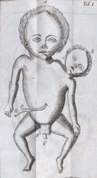 PROCHASKA (GEORGES)
De structura nervorum...