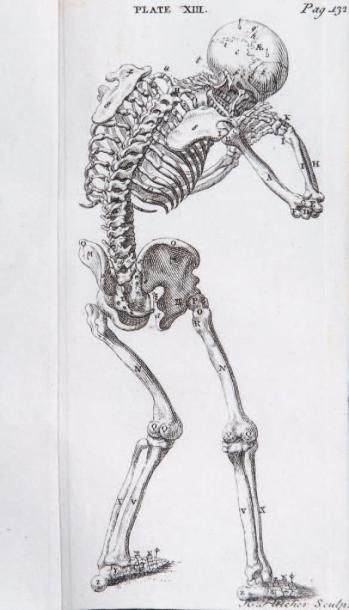 THOMSON (GEORGE)
The anatomy of the human...