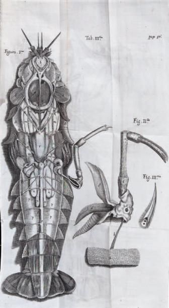 WILLIS (THOMAS)
De anima brutorum quæ hominis...