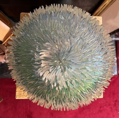 Hanneke FOKKELMAN (born 1955).
Anemone.
Green...