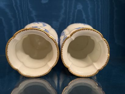 SÈVRES.
Paire de vases Indiens en porcelaine...