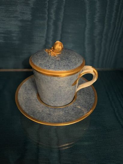 SÈVRES.
Covered sunken goblet and saucer...