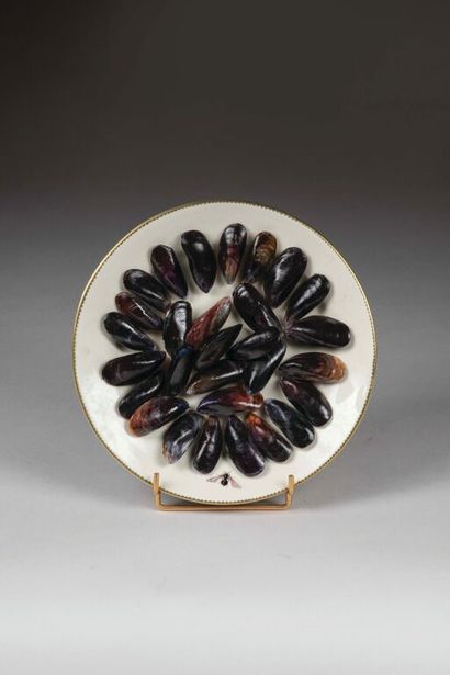 Didier GARDILLOU (20th century).
Mussel plate....