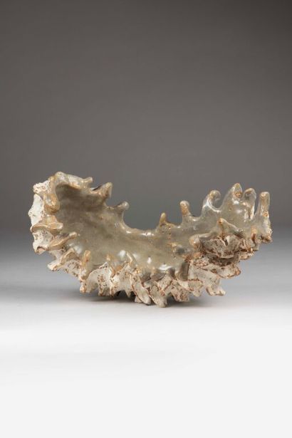 Stéphanie DURAND (born 1975). 
Nautilus....
