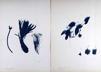 Lourdès CASTRO (1930-2022).
- Abstraction.
Lithographie....