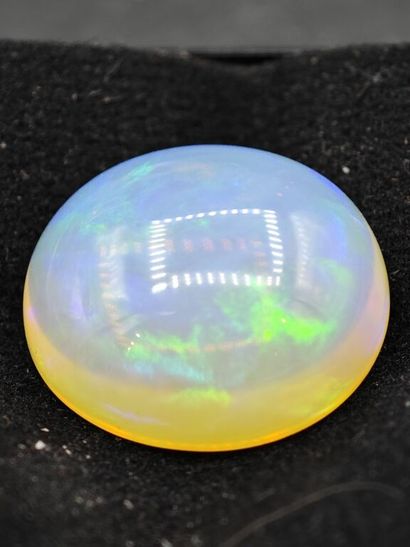 * Important cabochon d'opale stabilisée sur...