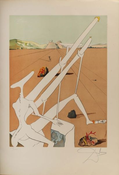 Salvador DALI (1904-1989).
La conquête du...