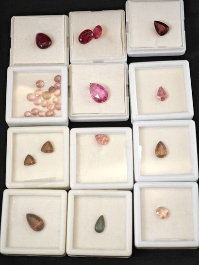 * Lot de trente tourmalines multicolores...