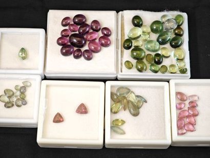 * Lot de tourmalines multicolores sur papier...