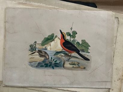 [Varia]. Ensemble de gravures, affiches,...