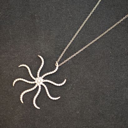 Pendentif en or gris 750‰ composé d'une chaîne...