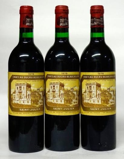 VINS ROUGES DE BORDEAUX
3 Bouteilles CHÂTEAU...