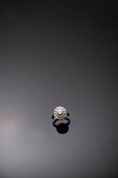 BAGUE marguerite en platine 950‰ et or gris...