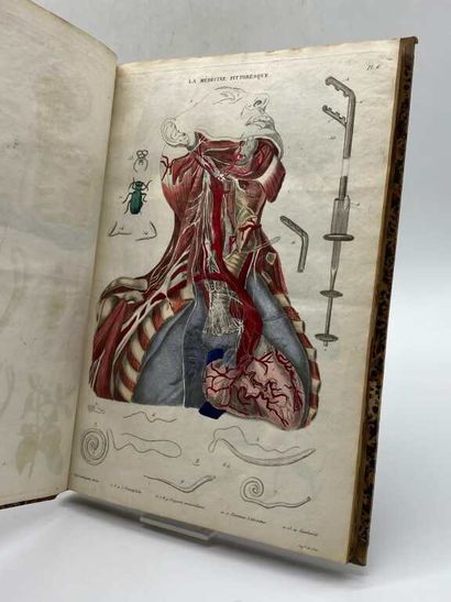 BAYLE, Antoine Laurent. La Médecine Pittoresque,...