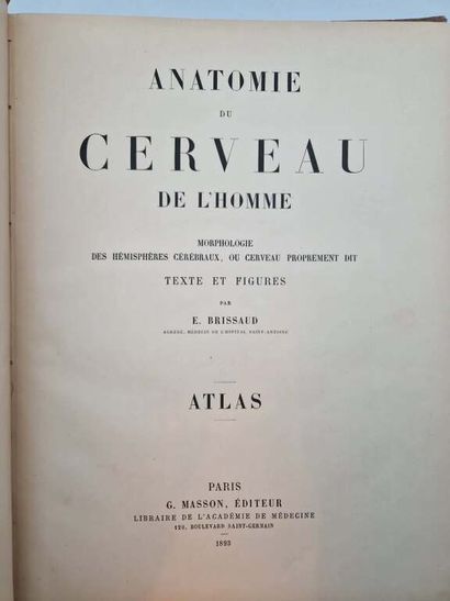 BRISSAUD, Edouard. Anatomie du Cerveau de...