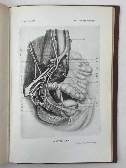 HOVELACQUE, André. Anatomie des nerfs crâniens...