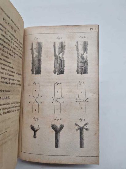DUCAMP, Théodore. Traité des Rétentions d'Urine...