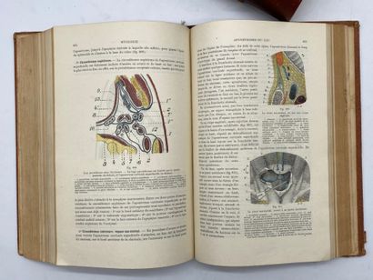 TESTUT, Léo and LATARJET, André. Traité d'anatomie...