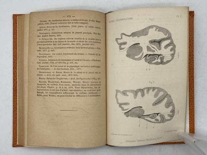 RICHET, Charles. Structure des circonvolutions...