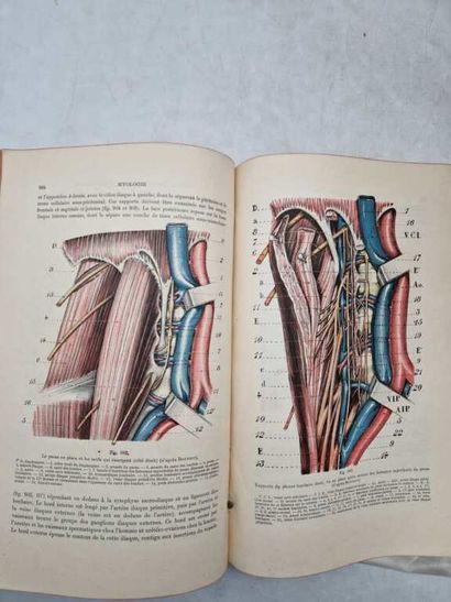 [THESES]. Set of 8 volumes, including: -...