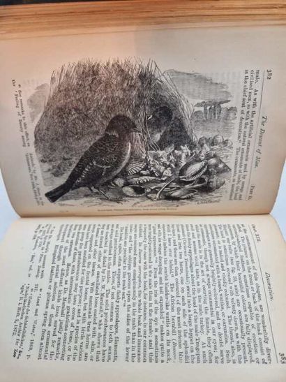 DARWIN, Charles. The Descent of Man and Selection...