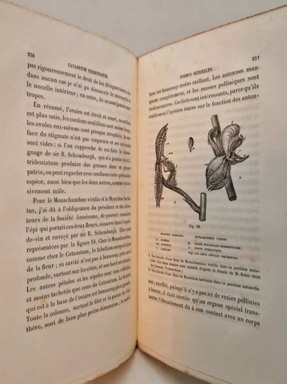 DARWIN, Charles. De la Fécondation des Orchidées...